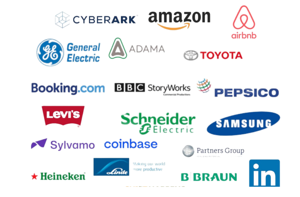 אימון מנהלים בכירים לוגו עבודה תהילה (2)